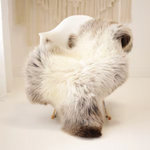 Genuine Cozy Sheepskin Rug