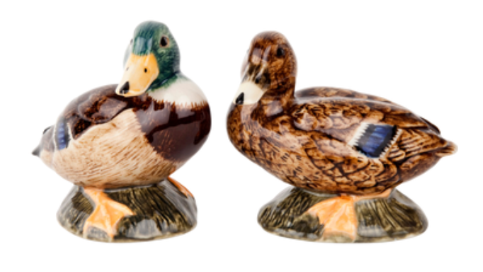 Ceramic Animal Salt & Pepper Shakers