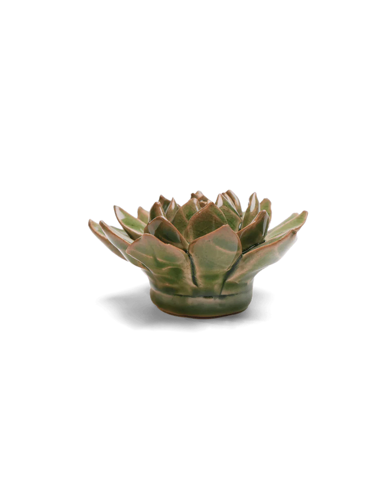 Avocado Green Firecracker Succulent Ceramic Flower