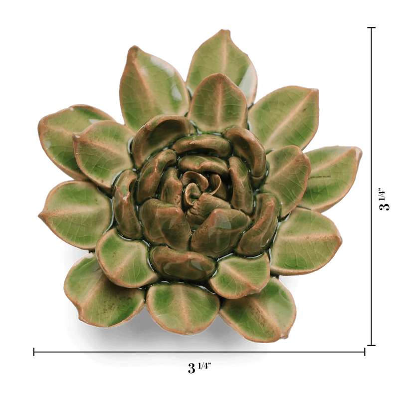 Avocado Green Firecracker Succulent Ceramic Flower