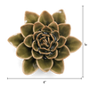 Olive Green Echeveria Ceramic Flower