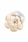 Ivory Daffodil Ceramic Flower