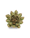 Avocado Green Firecracker Succulent Ceramic Flower
