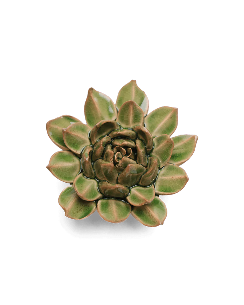 Avocado Green Firecracker Succulent Ceramic Flower